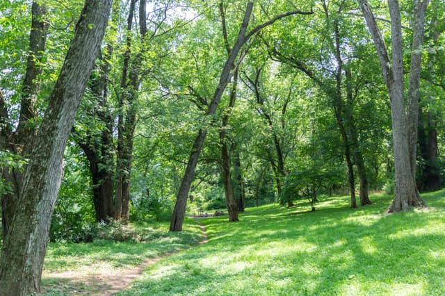 Sorrel Ridge Hiker-Biker Campground