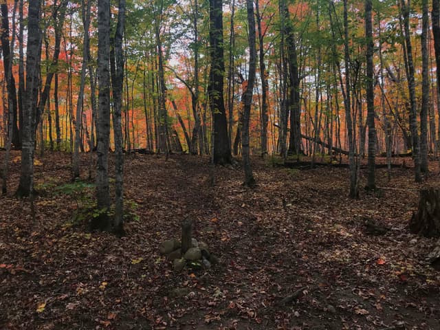 Island Mine Tent Site #1 in Fall Color