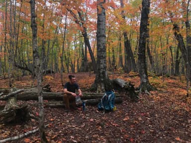 Hike at Island Mine Campground