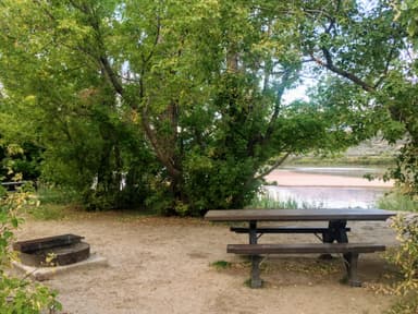 Rainbow Park Picnic Table and Fire Pit