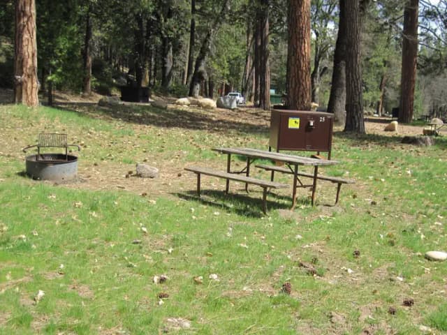 Back-in parking pad, food locker, picnic table, and fire ring
