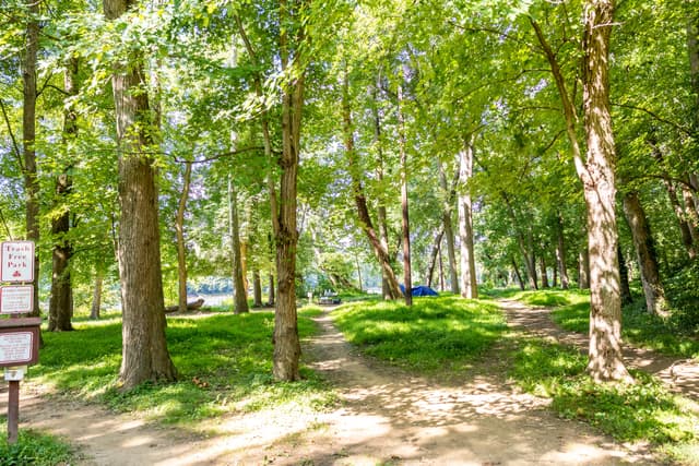Swains Lock Campsite
