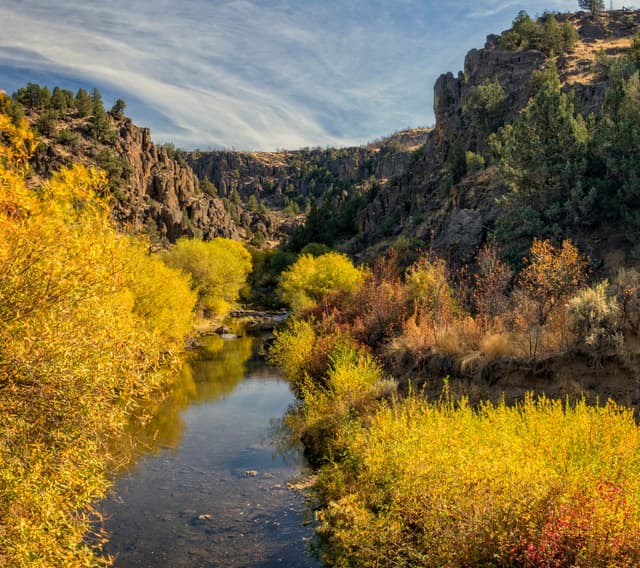 North Fork Owyhee Wilderness; North Fork Campground;