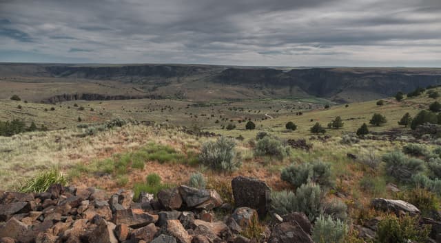 Afternoon view into the canyon of the Three Forks Recreation Site
