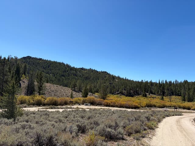 Scenic view of a pull-through campsite and a drive-up campsite