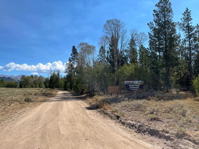 Blucher Creek Campground entrance