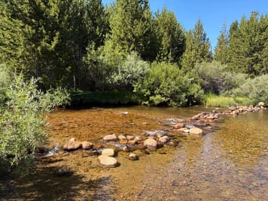 Dutch Joe Creek