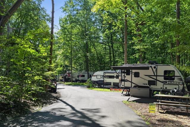 Prince William Forest RV Park