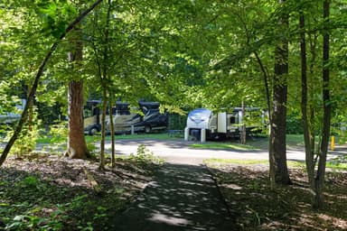 Shaded Campers at the RV Campground