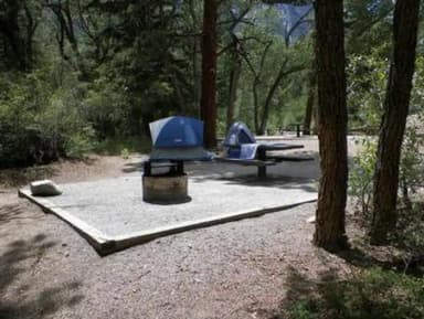 Campsite in trees with tents, fire pit and picnic table