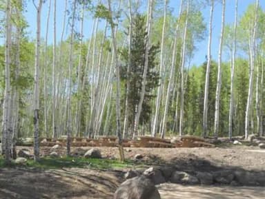 MOON LAKE GROUP CAMPGROUND