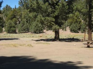 Juniper Springs Group Campground picnic tables