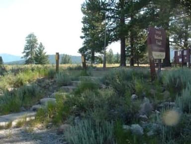 PROSSER RANCH GROUP