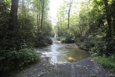 COVE CREEK UPPER GROUP CAMPGROUND.