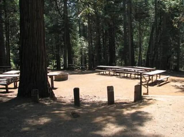 BLACK OAK