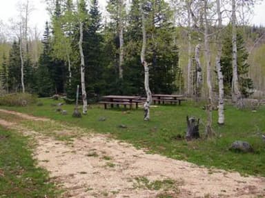 DEER HAVEN
