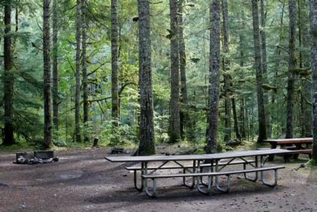 Excelsior Group Camp