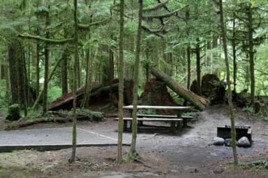 Gold Basin Campground