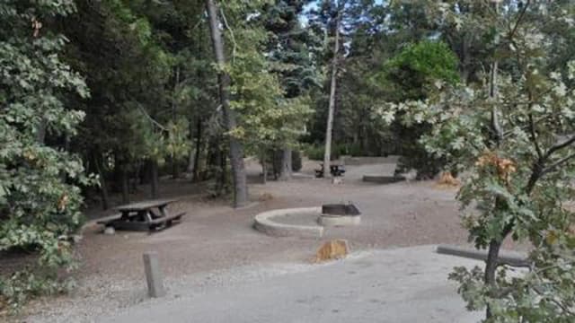 Family seating around fire ring at Dogwood Campground