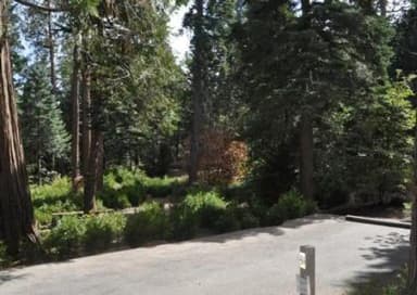 Beautiful scenery at Dogwood Campground