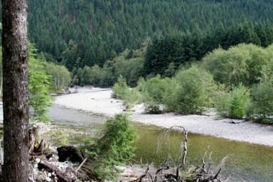 Tinkham Campground