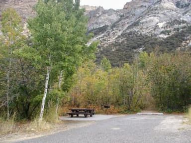 THOMAS CANYON