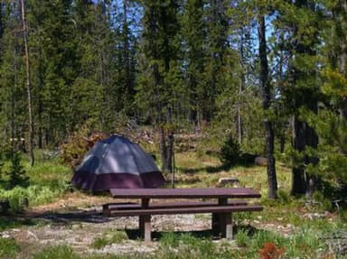 TRAP CREEK CAMPGROUND