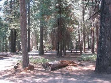 STUMPY MEADOWS