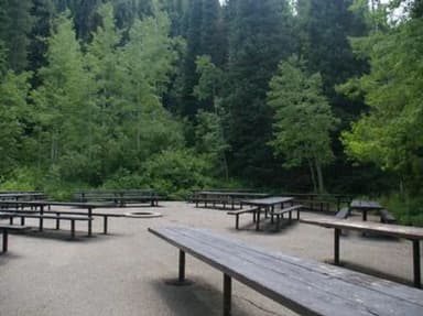 Spruces - Big Cottonwood