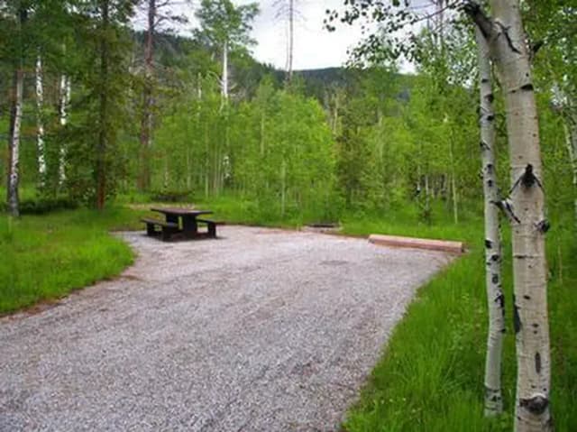 LODGEPOLE AT FLAMING GORGE