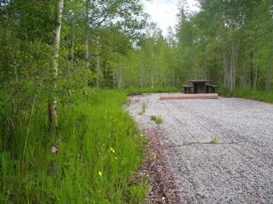 LODGEPOLE AT FLAMING GORGE