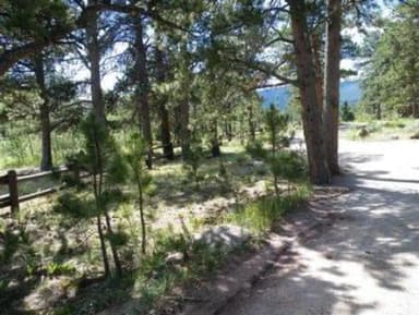 OLIVE RIDGE1