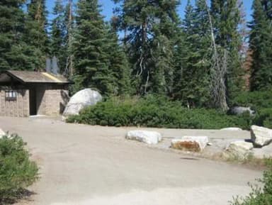 RED FIR