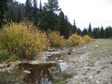 CAMP DICK Creek