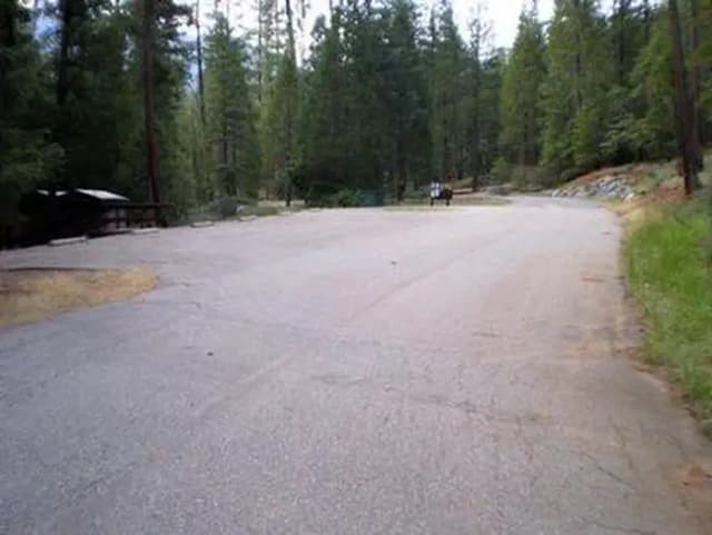 STONEY GROUP SHASTA-TRINITY