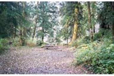 Esswine Group Camp
