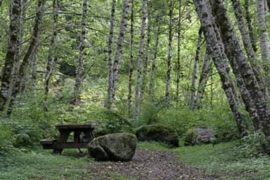 Coal Creek Group Camp