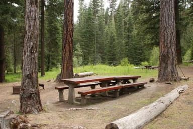 Double-long picnic table in open pine forest with a green, tree ringed glade in the background.
