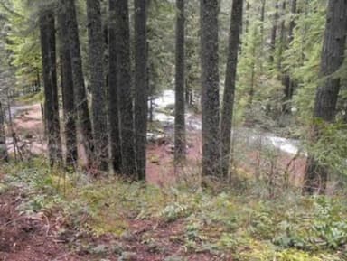 OLALLIE ON MCKENZIE HIGHWAY