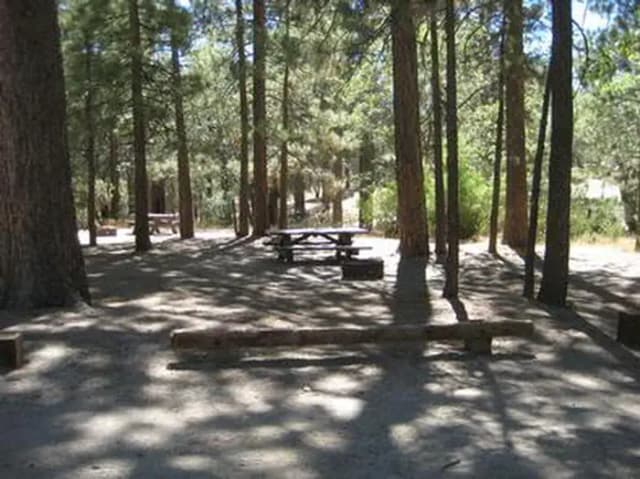 Crab Flats Campground picnic tables and log benches under the shade.