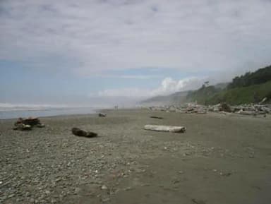 A long stretch of beach at Kalaloch Campground. The beach is comprised of sand and small rocks. Large amounts of driftwood litter the coastline.