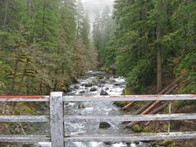 OHANAPECOSH GROUP CAMPGROUND
