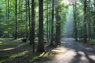 ELKMONT CAMPGROUND