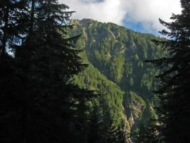 COUGAR ROCK GROUP CAMPGROUND