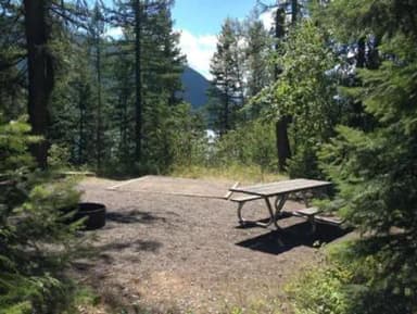 A Fish Creek Campsite surrounded by pine trees.