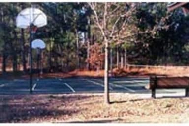 PINEY GROVE