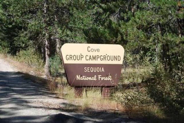 COVE GROUP