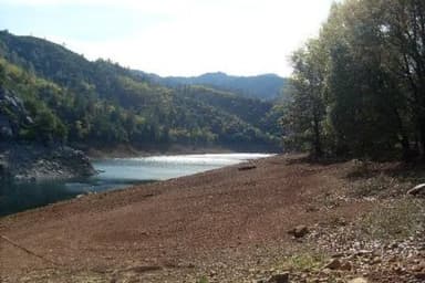 ELLERY CREEK