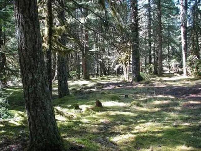 RILEY HORSE CAMPGROUND