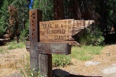 REDWOOD MEADOW